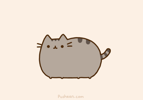 Pusheen Pinch Punch First Day of the Month!