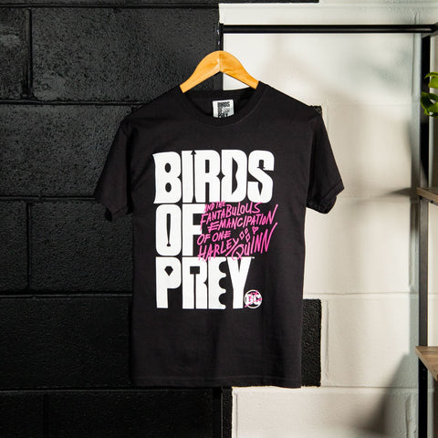 DC Comics Birds of Prey Logo Black T-Shirt
