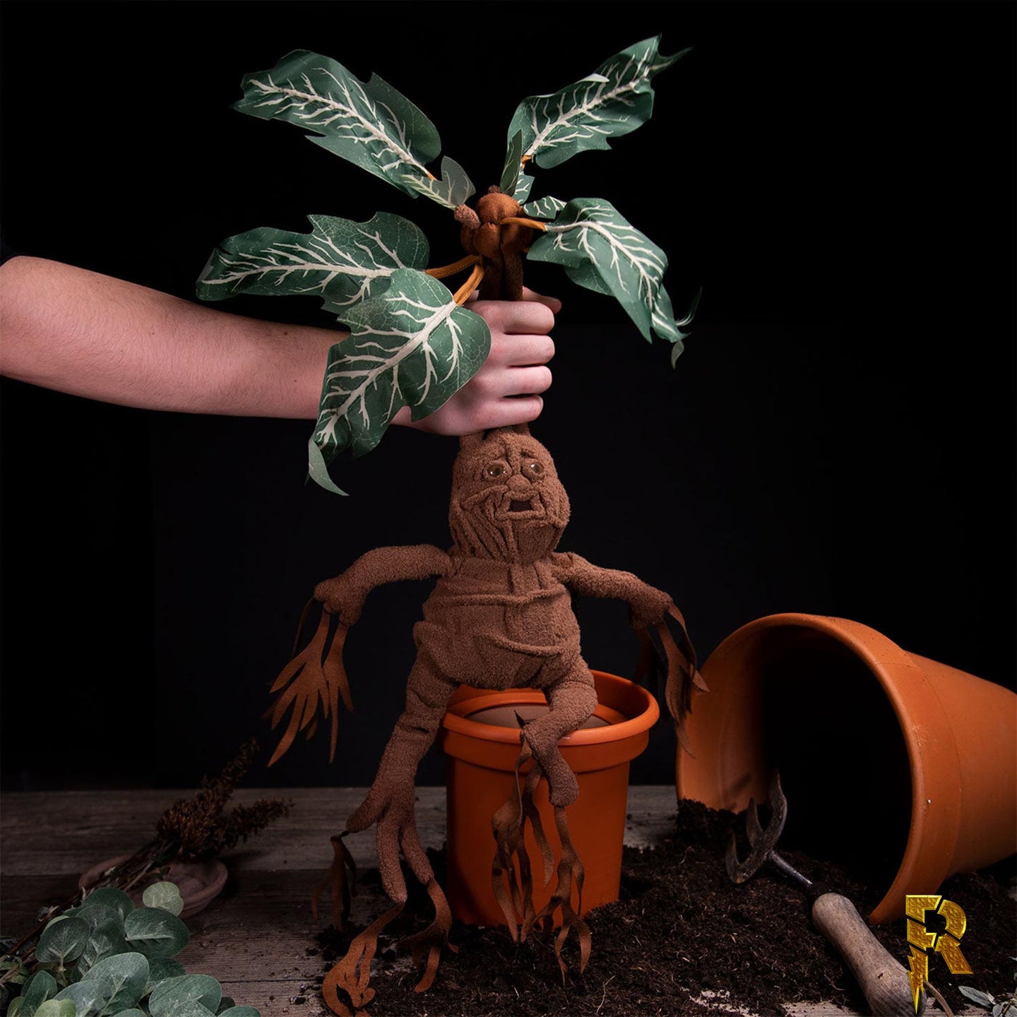 Wizarding World Harry Potter Mandrake Interactive Plush with Pot –  IEWAREHOUSE