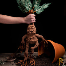 Load image into Gallery viewer, Harry Potter Mandrake Collector&#39;s Plush.
