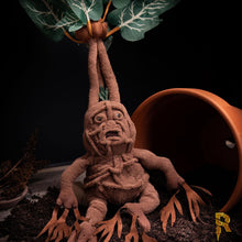 Load image into Gallery viewer, Harry Potter Mandrake Collector&#39;s Plush.