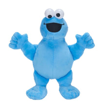 Load image into Gallery viewer, Sesame Street Cookie Monster Small Plush Toy.